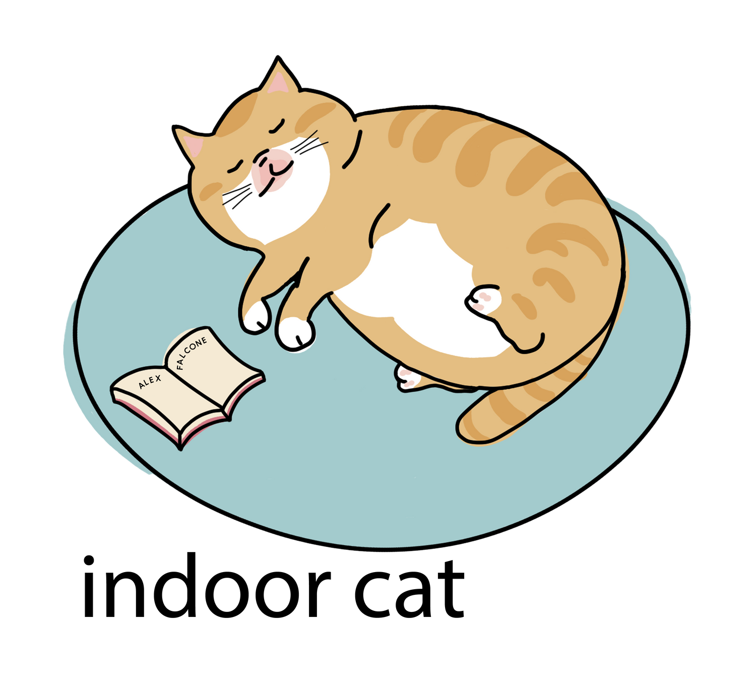 Indoor Cat